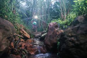 BIB: 
                            <button type="button" onclick="openModal(26419792)" class="btn btn-primary btn-sm float-right btn-popup" data-toggle="modal" data-target=".modal-high-quality">
                        <i class="fas fa-shopping-cart"></i> Add to Cart
                    </button>
                                            <button type="button" onclick="isThisMe(26419792, true)" class="btn btn-success btn-sm float-right btn-popup btn-isme hidden" data-toggle="tooltip" data-placement="bottom" title="นี่คือรูปของคุณใช่ไหม คลิกที่นี่เพื่อเอาเข้าอัลบั้ม">
                        <i class="fas fa-plus"></i> Add to album
                    </button>
                    <button type="button" onclick="isThisMe(26419792, false)" class="btn btn-warning btn-sm float-right btn-popup btn-isnotme hidden">
                        <i class="fas fa-ban"></i> Remove from album
                    </button>